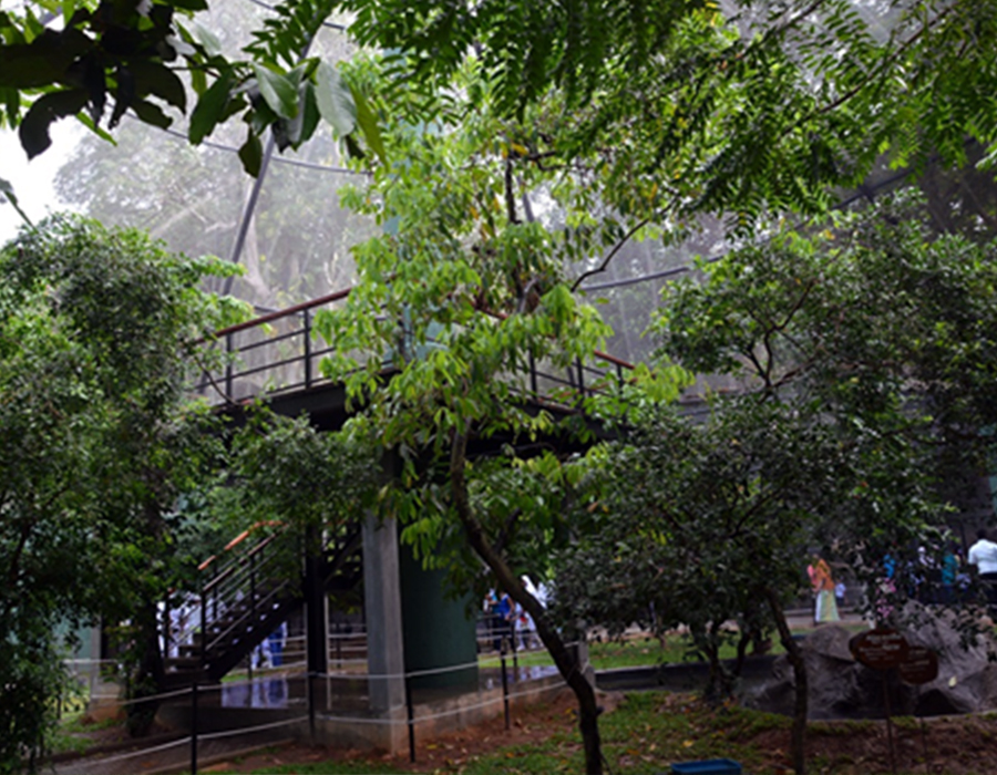 Renovation of Bird Aviary (Exotic) at Dehiwala zoo for Department of National Zoological Gardens